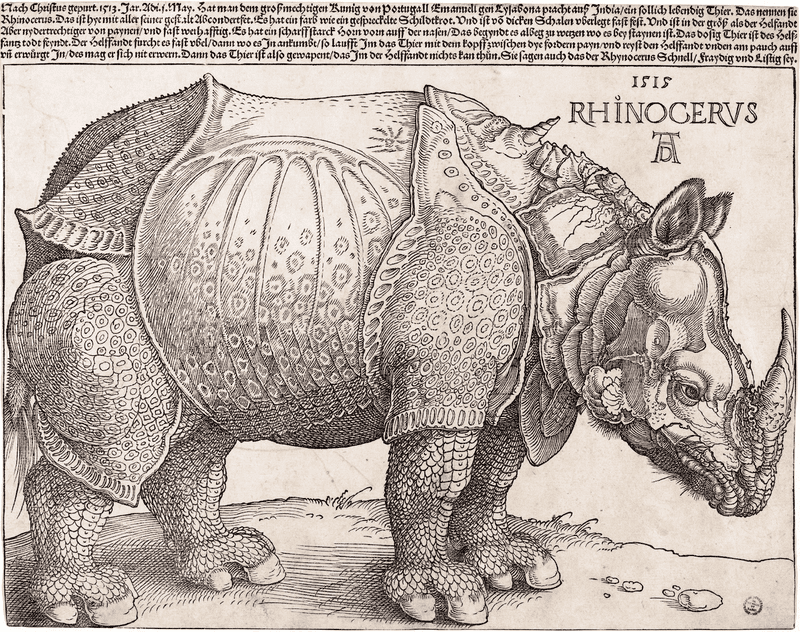 Woodprint of Dürer’s Rhino (1515)